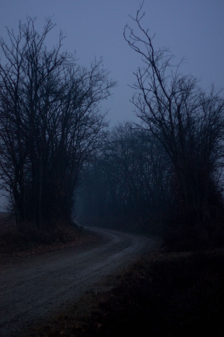 dark markets indonesia