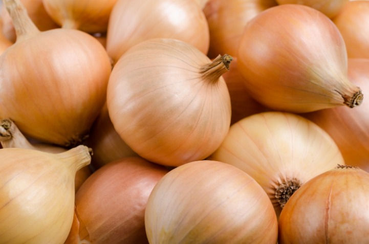 onion links credit card