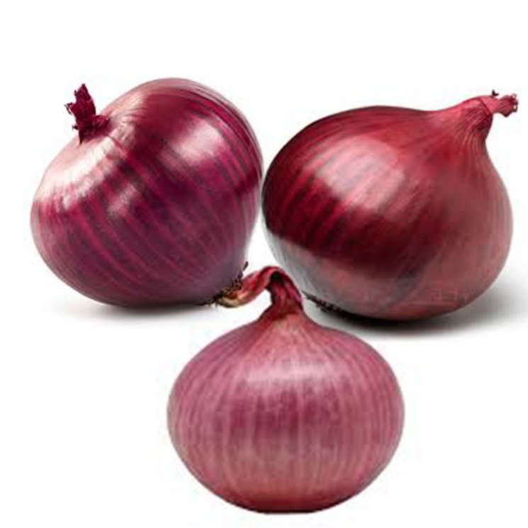 onion links credit card