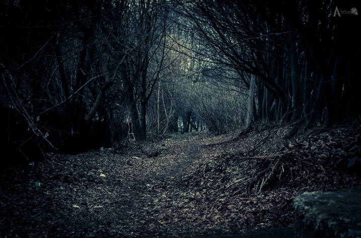 dark web markets 2025 reddit