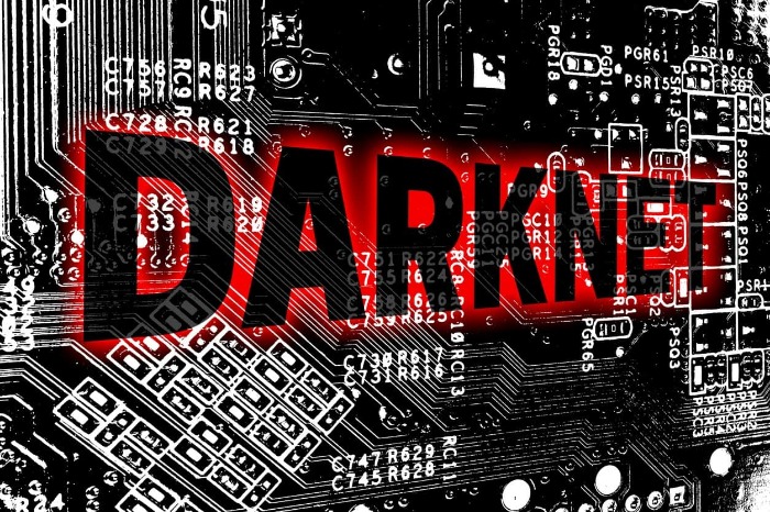 darknet markets most popular