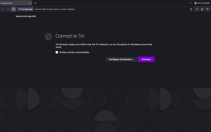 accessing dark web