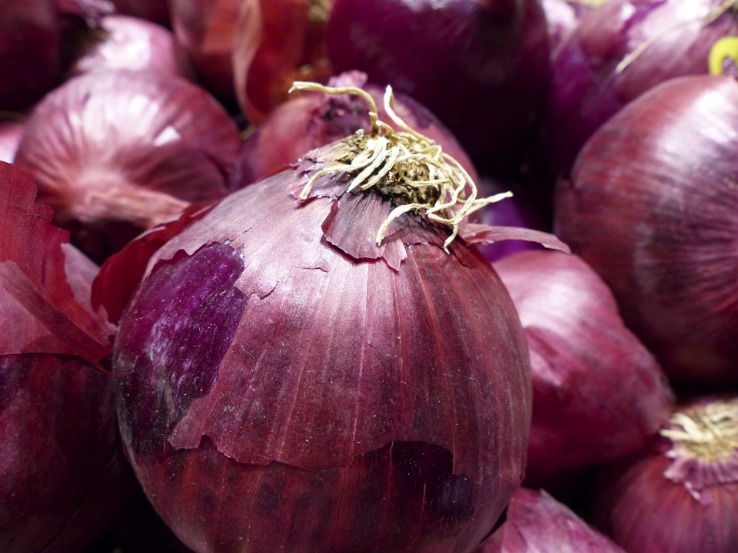 onion market