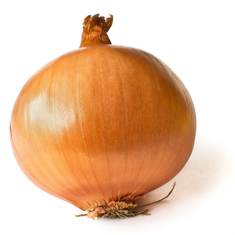 the onion directory