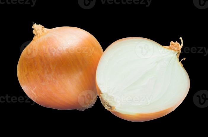 the onion directory