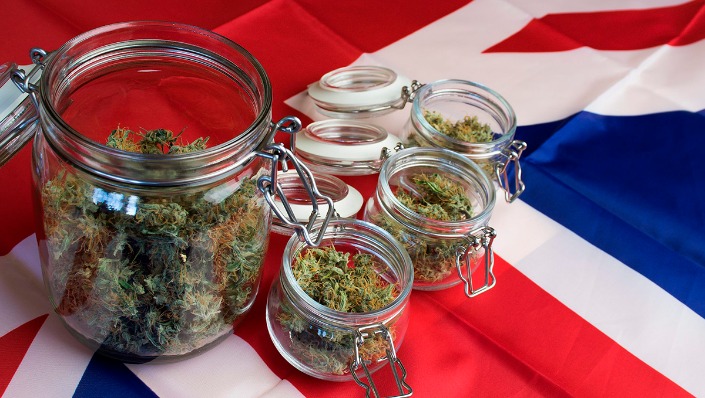 weed only darknet market