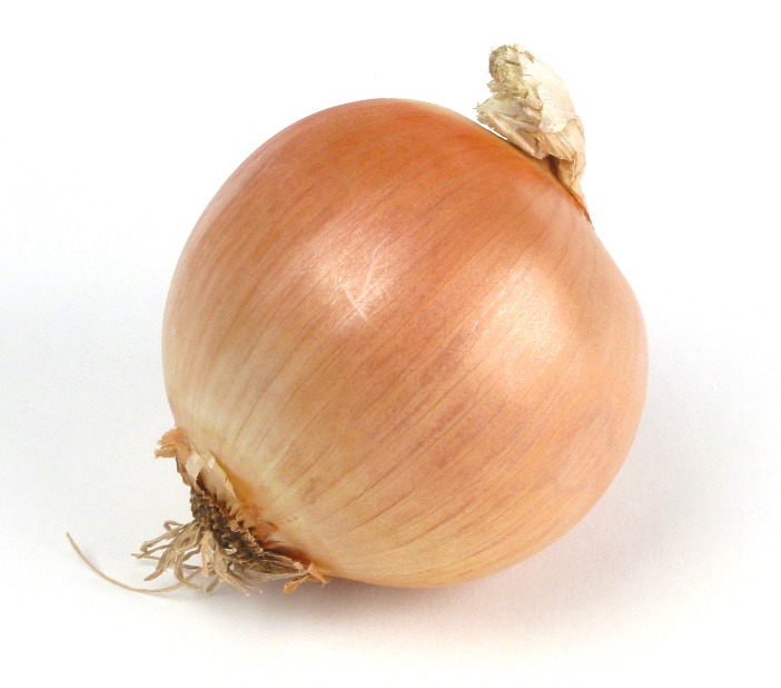 onion directory list
