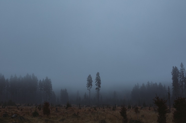 dark web links 2023 reddit