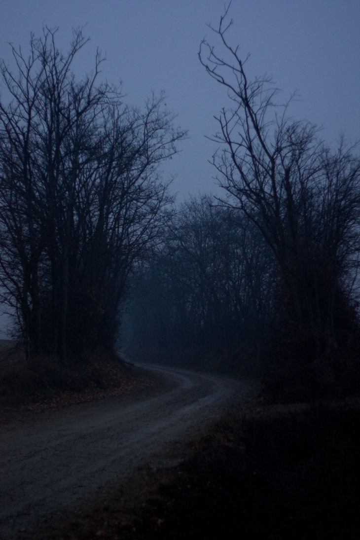 dark markets australia