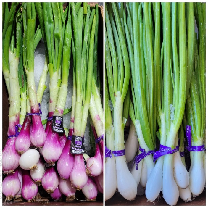 onion websites for credit cards