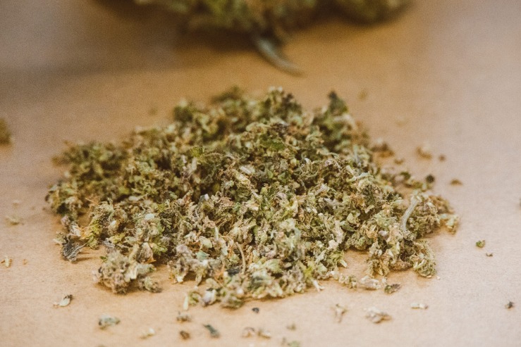 weed darknet market