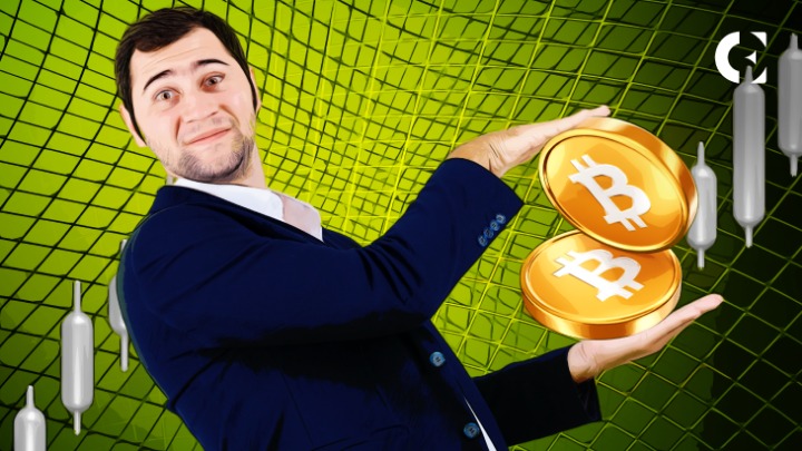 darknet bitcoin market