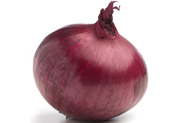 onion link