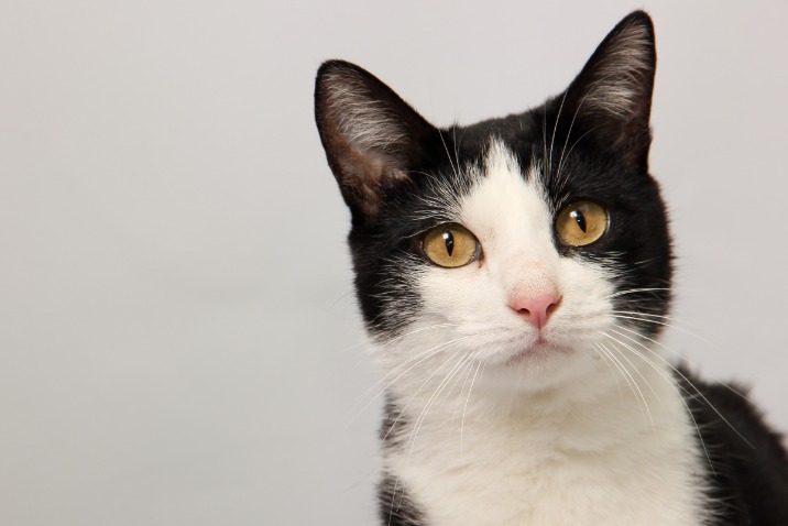 black market prescription drugs for sale