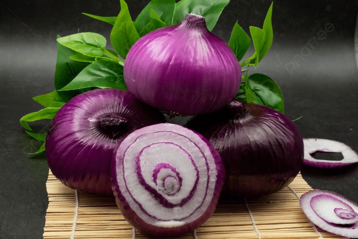 onion directory 2025