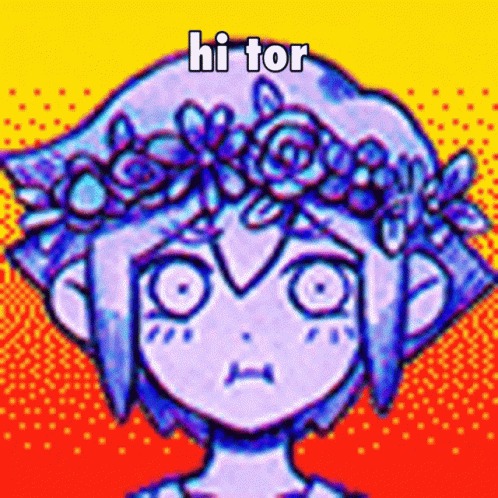 tor onion link