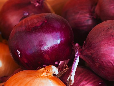 onions link