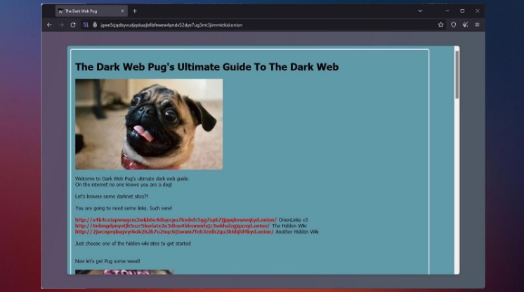 the dark web website