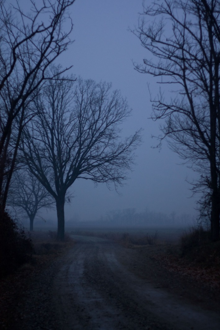 dark web websites reddit