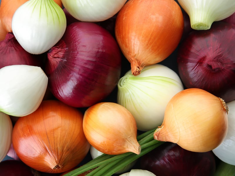 onion darknet market