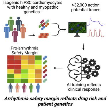 deep web drug markets