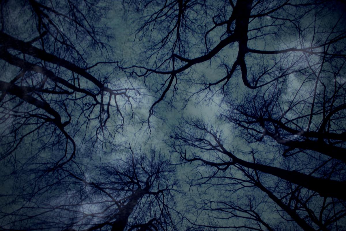 dark web markets 2024 reddit