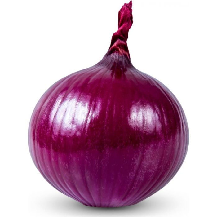 onion dark web