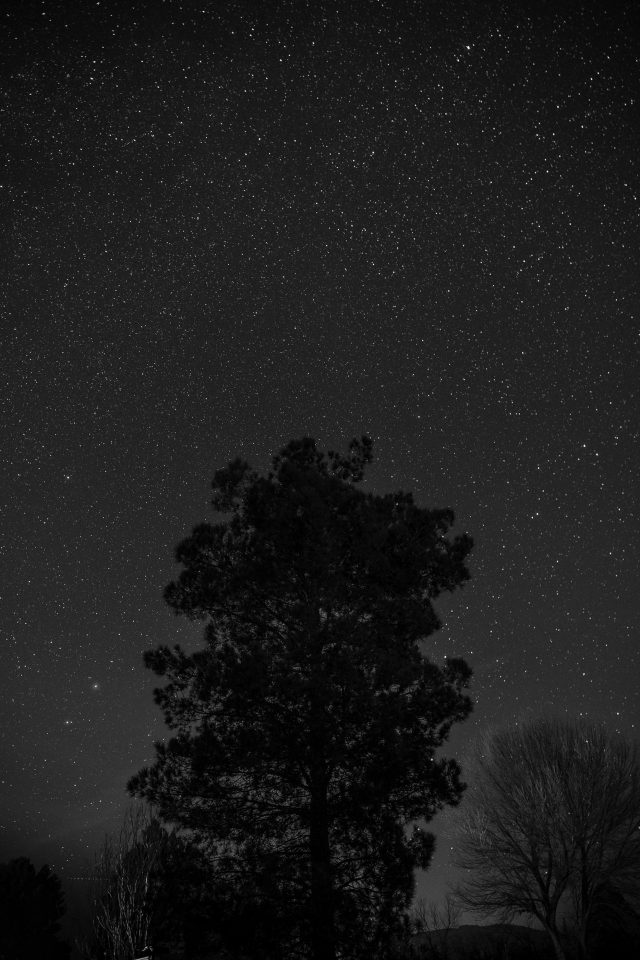 dark websites reddit