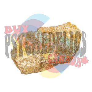 where to buy molly