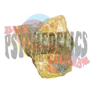 where to buy molly