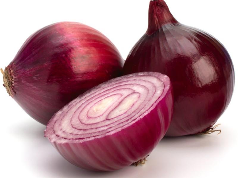 onion dark web list