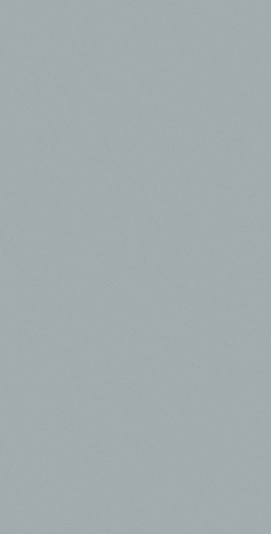 grey market link